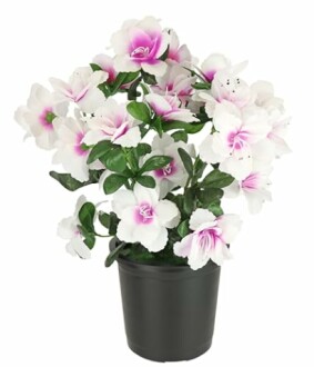 Fleurs d'azalée artificielles dans un pot noir.
