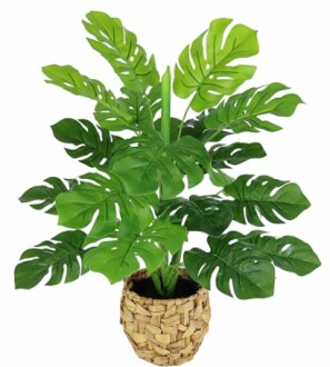 Plante artificielle de monstera dans un panier en osier.
