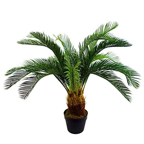 Grand Palmier Artificiel