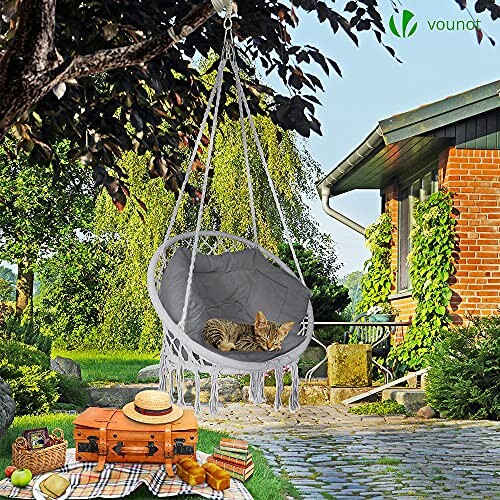 Chat se repose dans un fauteuil suspendu dans un jardin.
