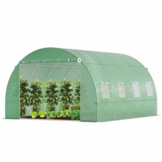 Serre verte avec des plantes à l'intérieur.