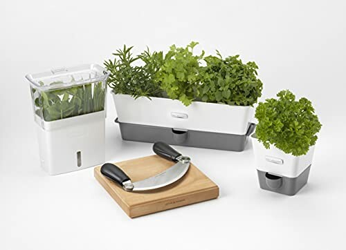 Cole & Mason Pot à Herbes H105349