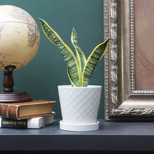 Pots de Fleurs BUYMAX