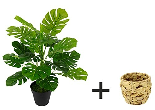 Plante Artificielle Monstera Flair Flower